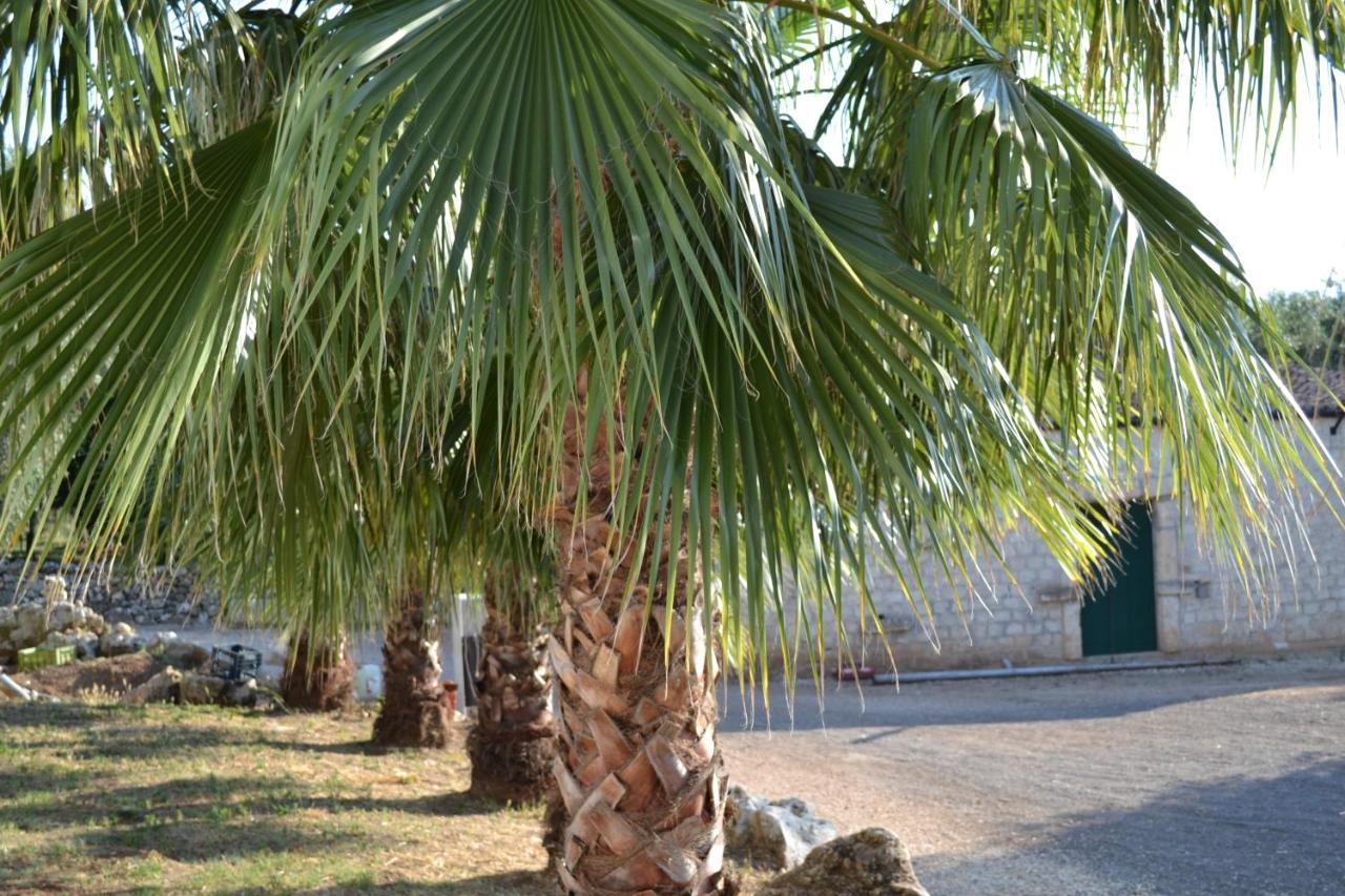 Masseria Romagnolo * Carpino